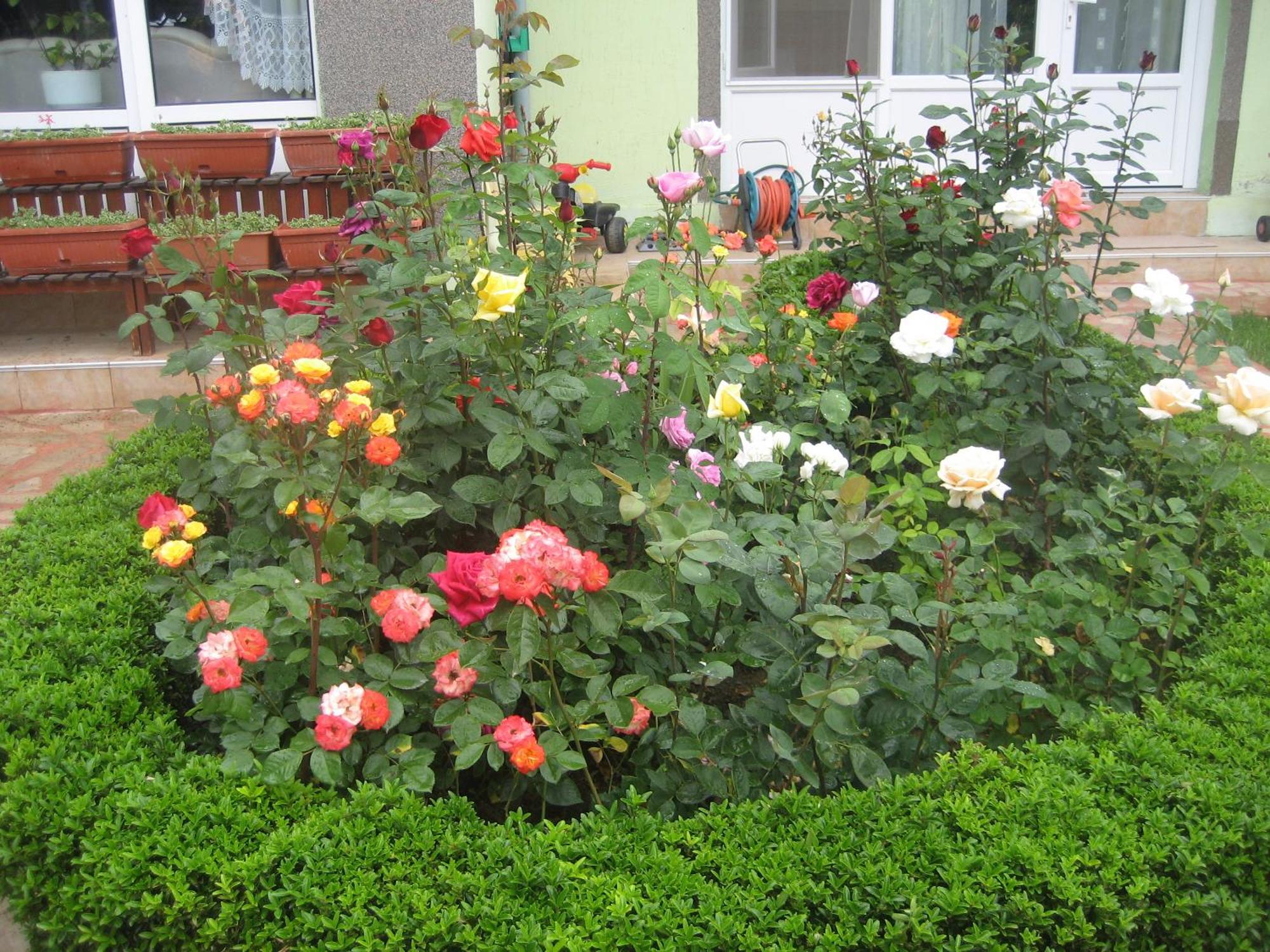 Vila Saltanat 41 Varna Oda fotoğraf